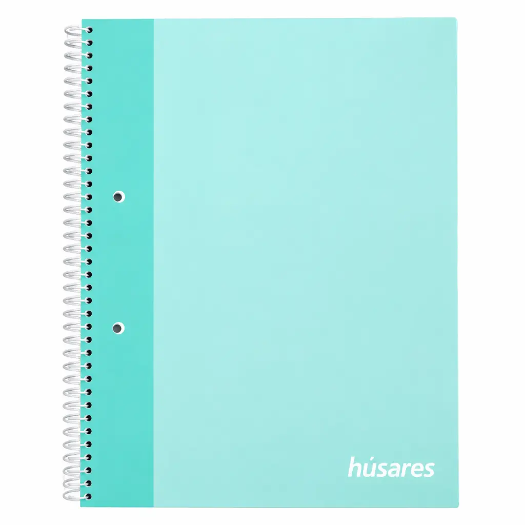 540379_CUADERNO A4 HUSARES PASTEL C ESPIRAL RAYADO ( 6286 ).webp