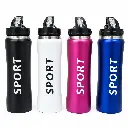 208669_BOTELLA TERMICA ACERO INOX 600ML E CJ ( A-121 ) (2).webp