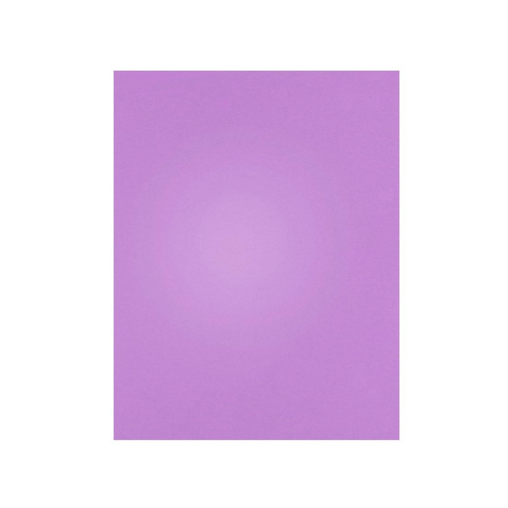 &*CARTULINA LILA/ VIOLETA 45 x 63cm