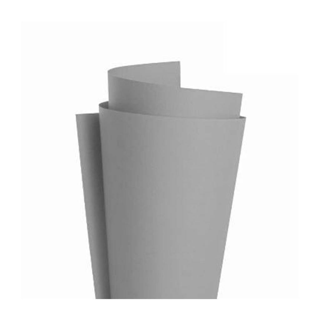 &CARTULINA GRIS 45X63CM ( 0313 )