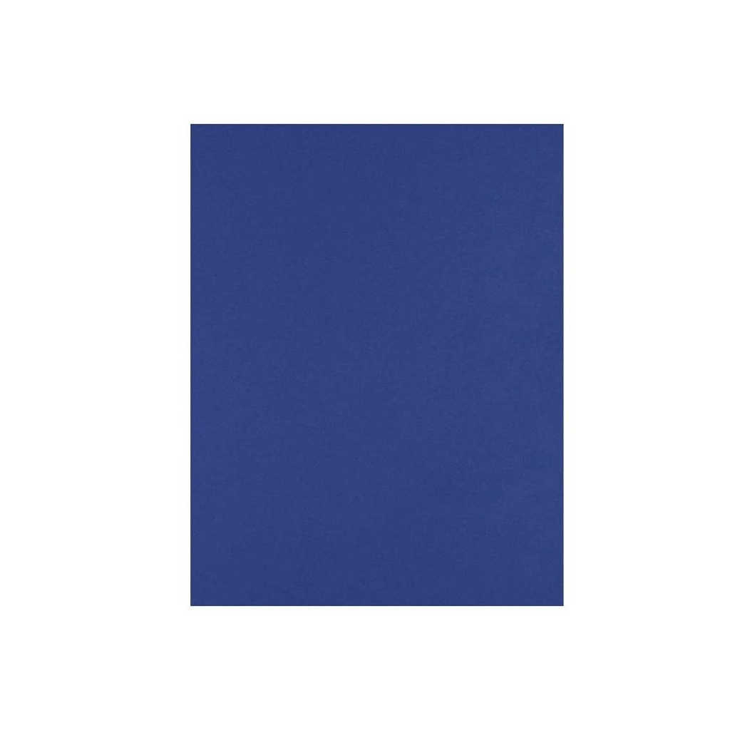 &*CARTULINA AZUL 45 X 65 CM