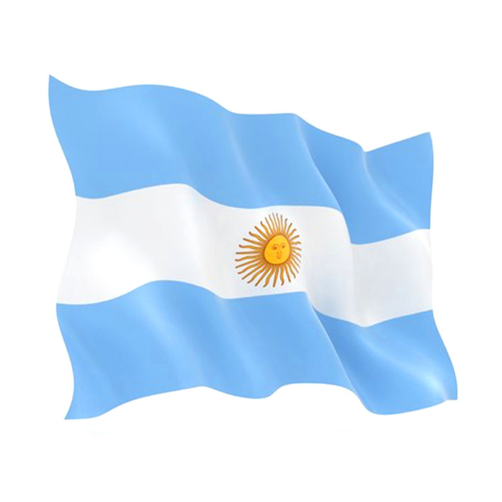 BANDERA ARGENTINA TELA 90CM X 60CM