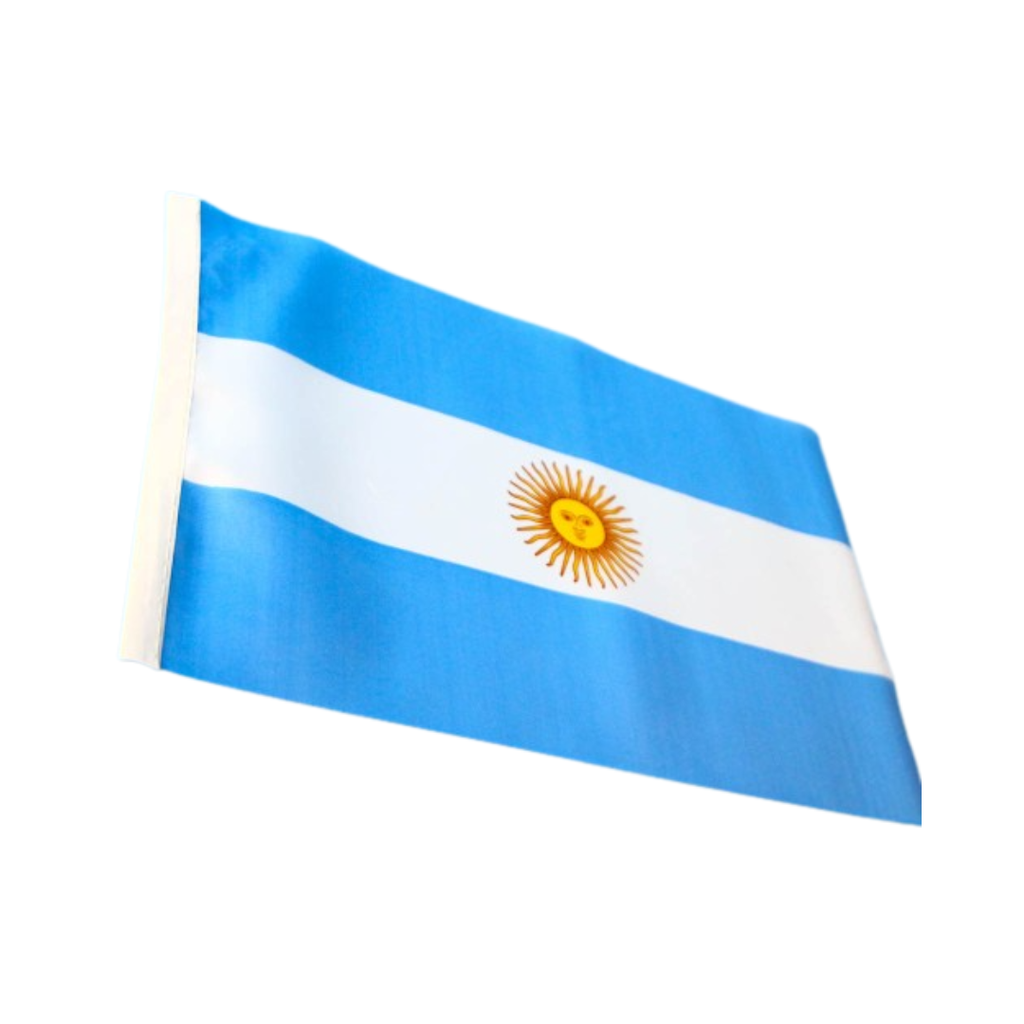 BANDERA ARGENTINA TELA 30CM X 20CM