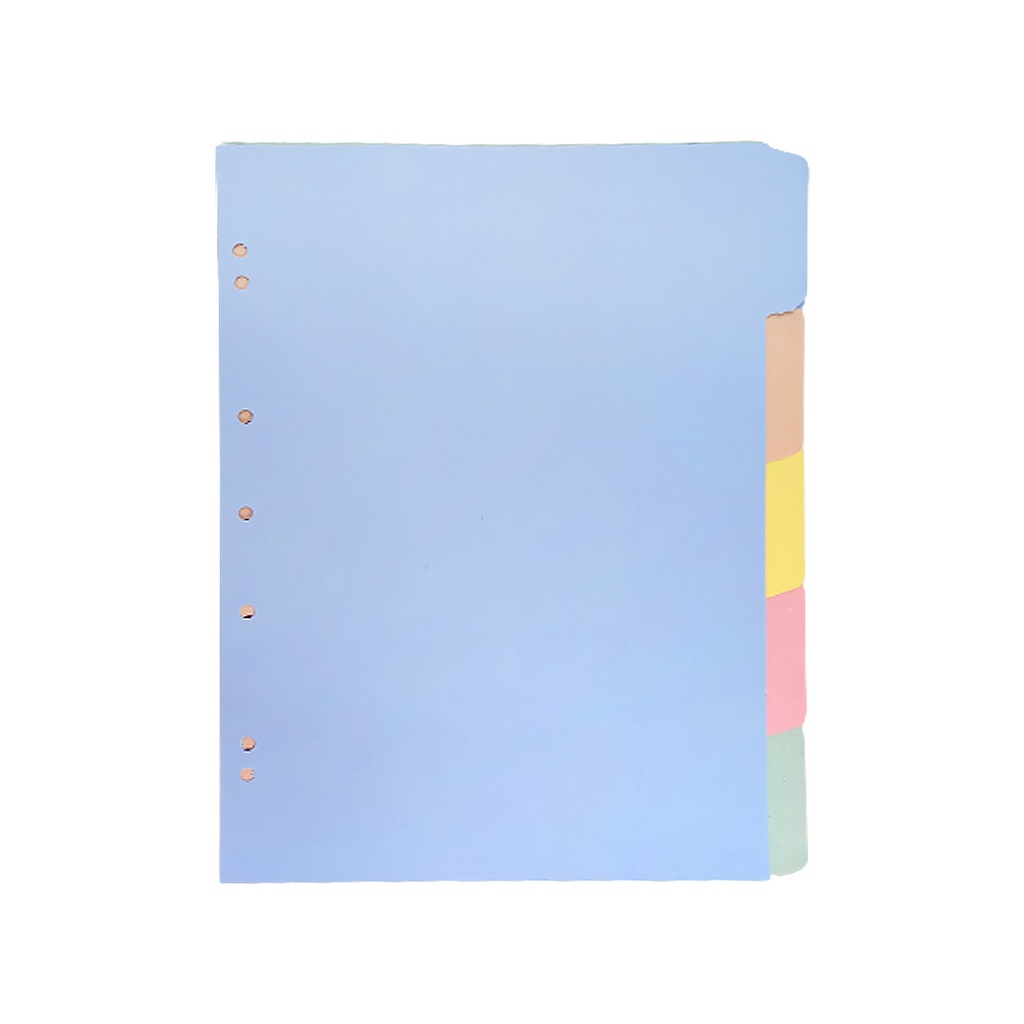 ASIGNATURA A4 CARTULINA APE C/ LENGUETA X5