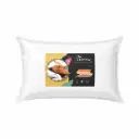 ALMOHADA DUMOY ECO 70 X 45CM E/ BO