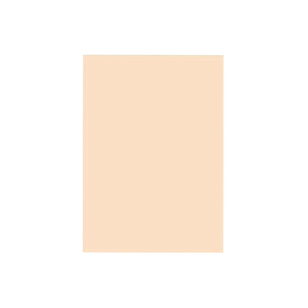 &*CARTULINA BEIGE/PIEL 45 x 65cm