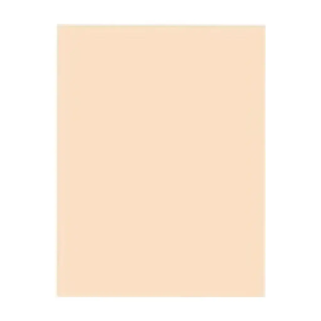 &CARTULINA BEIGE O PIEL 45 X 65CM ( 0314 )