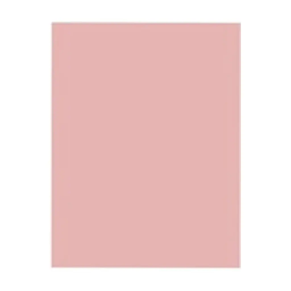 &CARTULINA ROSA PASTEL 45 X 65CM ( 0331 )