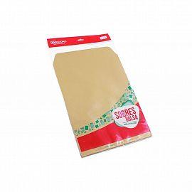 SOBRE BOLSA MEDORO MANILA 22.9X32.4CM X10 E/BO ( 2732 )