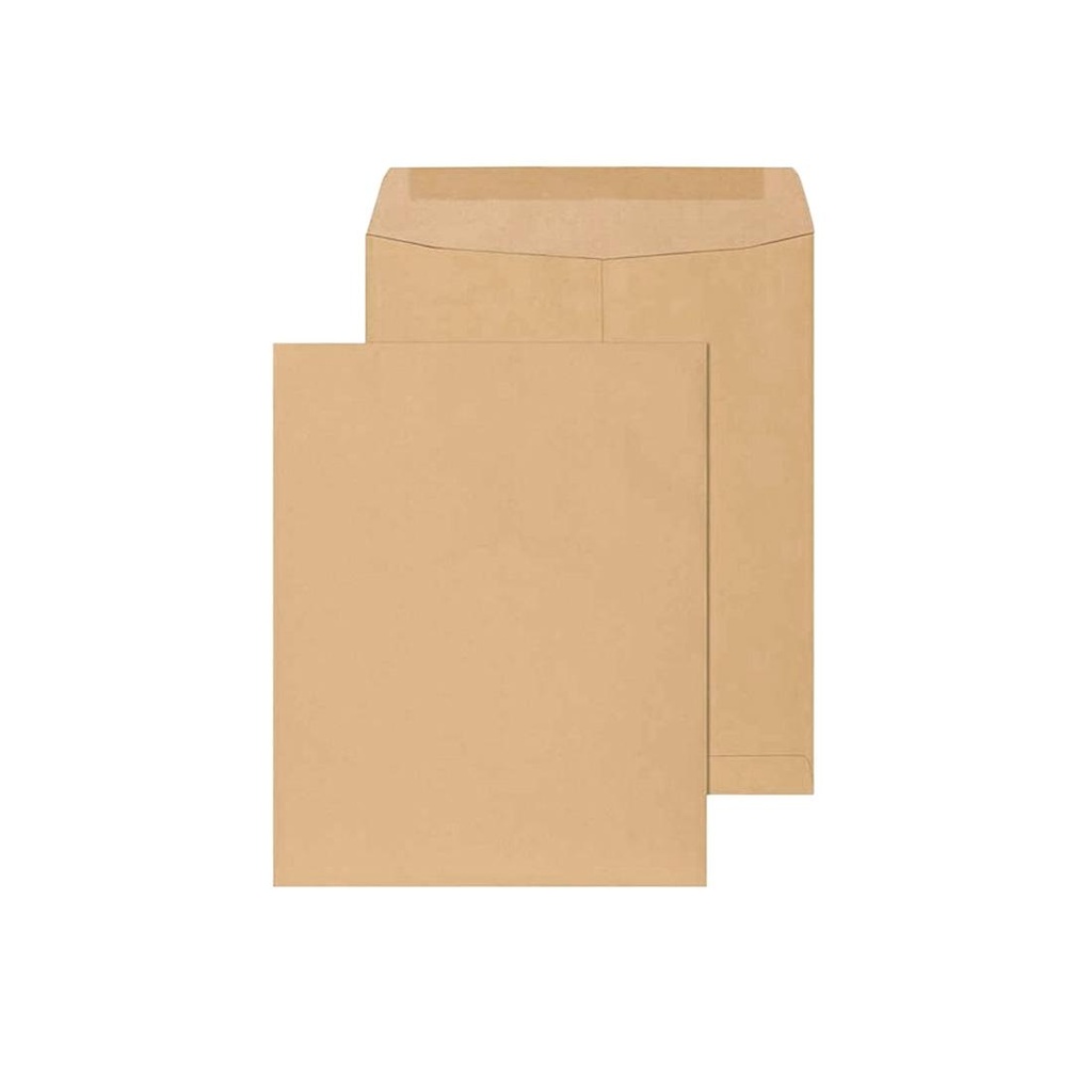 SOBRE MEDORO BOLSA MANILA 24X20CM X100PZS E/BO ( 2527 )