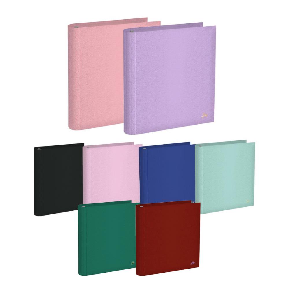 CARPETA N°3 FORRADA PASTEL / COLOURS FW ( 201175 - 201179 )