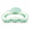 BROCHE P/ CABELLO COLOR 5 X 10CM E/ CT ( DL22815 )