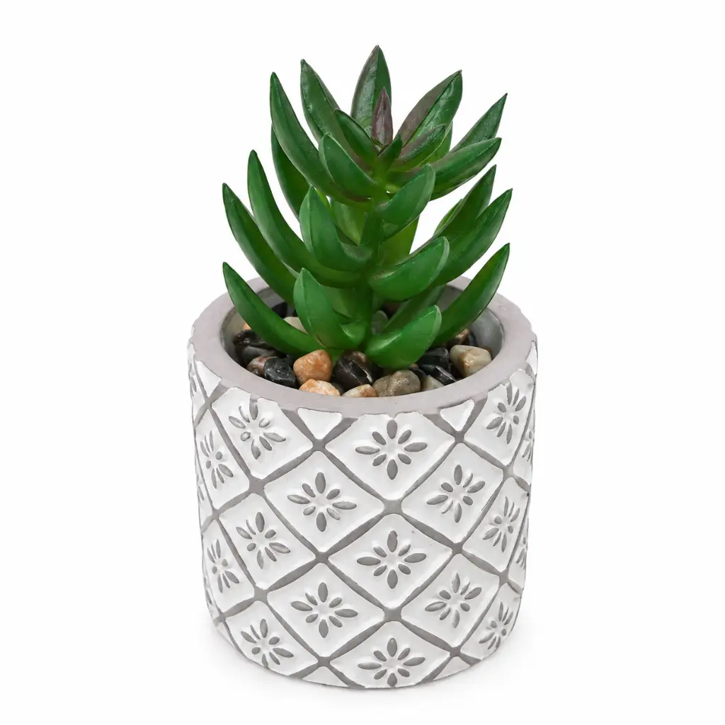 PLANTA SUCULENTA C/ MACETA CEMENTO ( G120-4796 )
