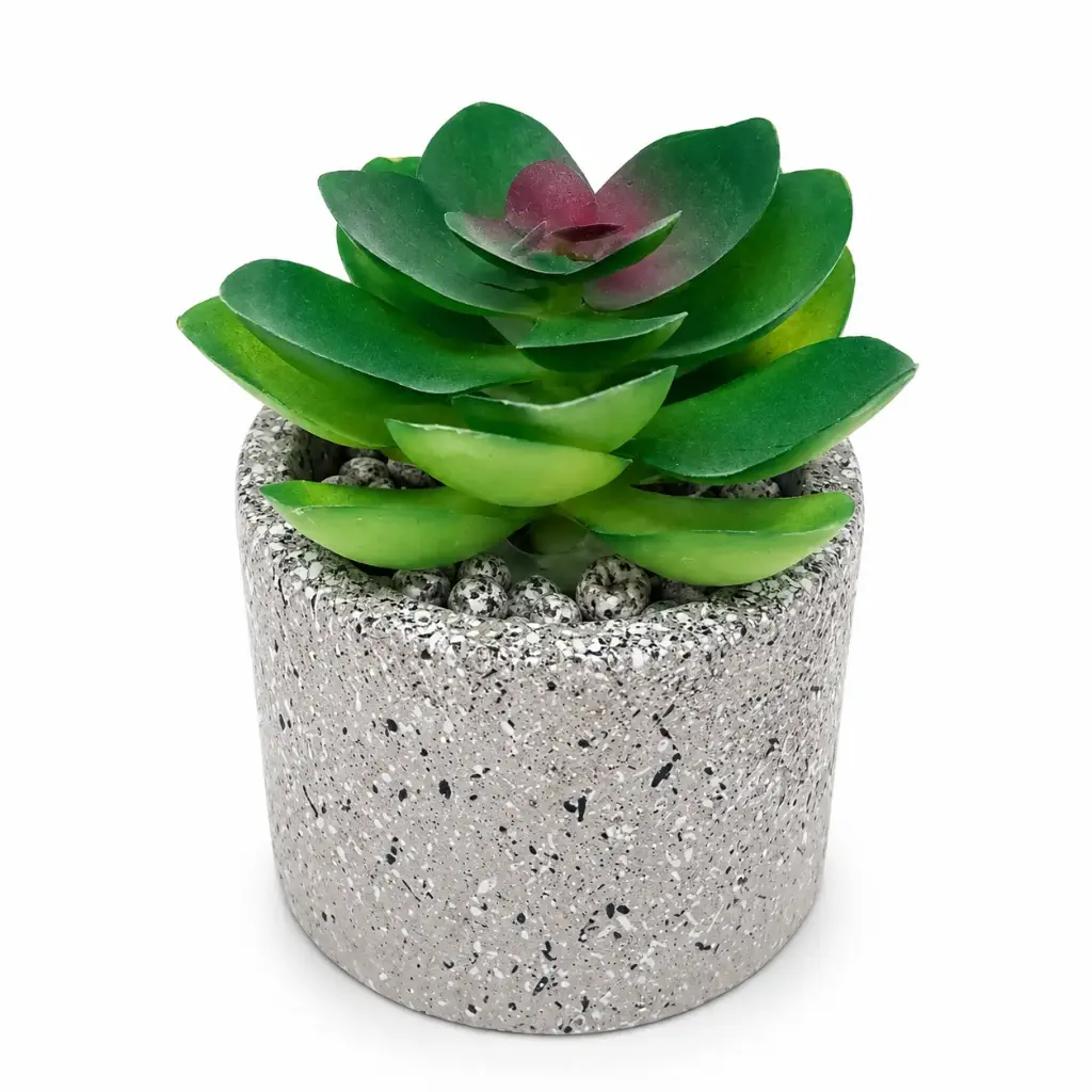PLANTA SUCULENTA C/ MACETA CEMENTO ( G120-5034 )