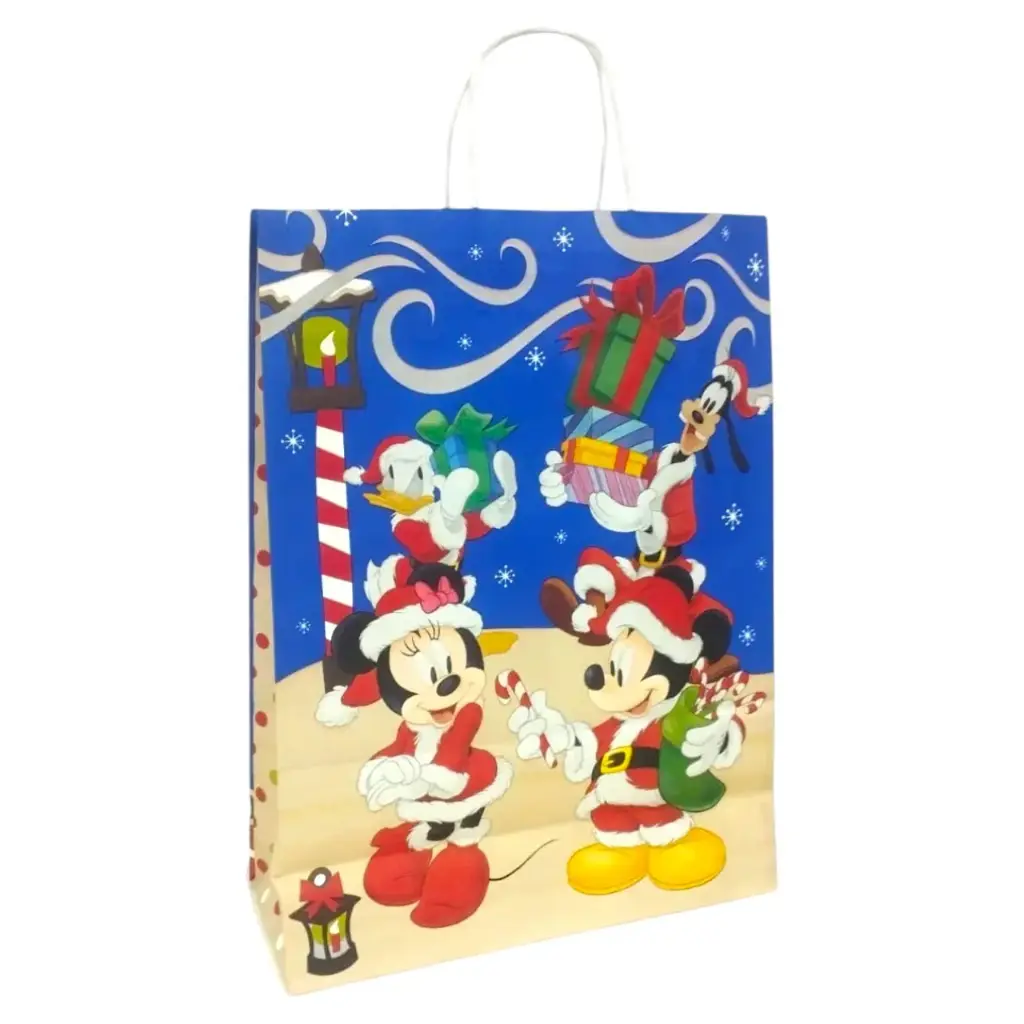 BOLSA P/ REGALO DISNEY FIESTA 22 X 10 X 30CM ( BF221030MULTI2 )