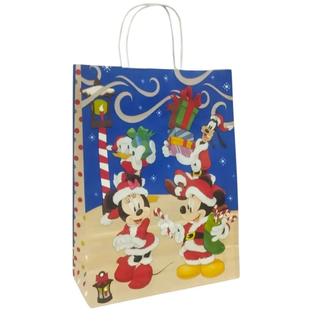 BOLSA P/ REGALO DISNEY FIESTA 30 X 12 X 41CM ( BF301241MULTI2 )