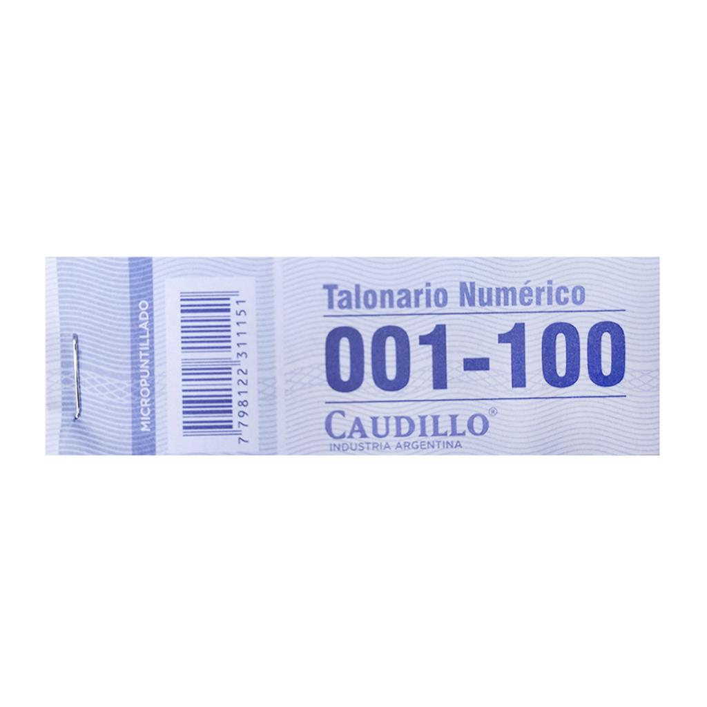 TALONARIO NUMEROS DEL 1 AL 100 ( 233 )