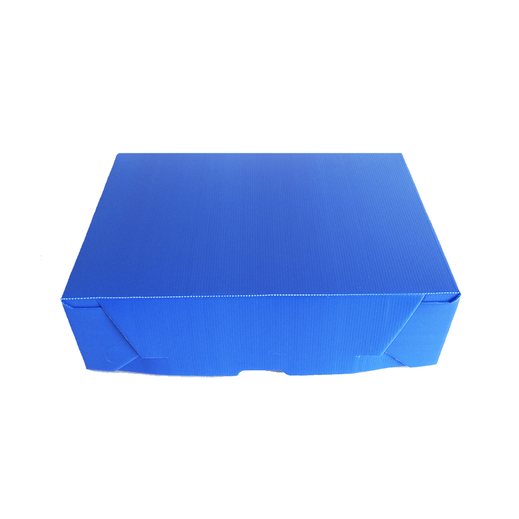 CAJA ARCHIVO LEGAJO PLASTICO 38x28x12CM ( 703 )