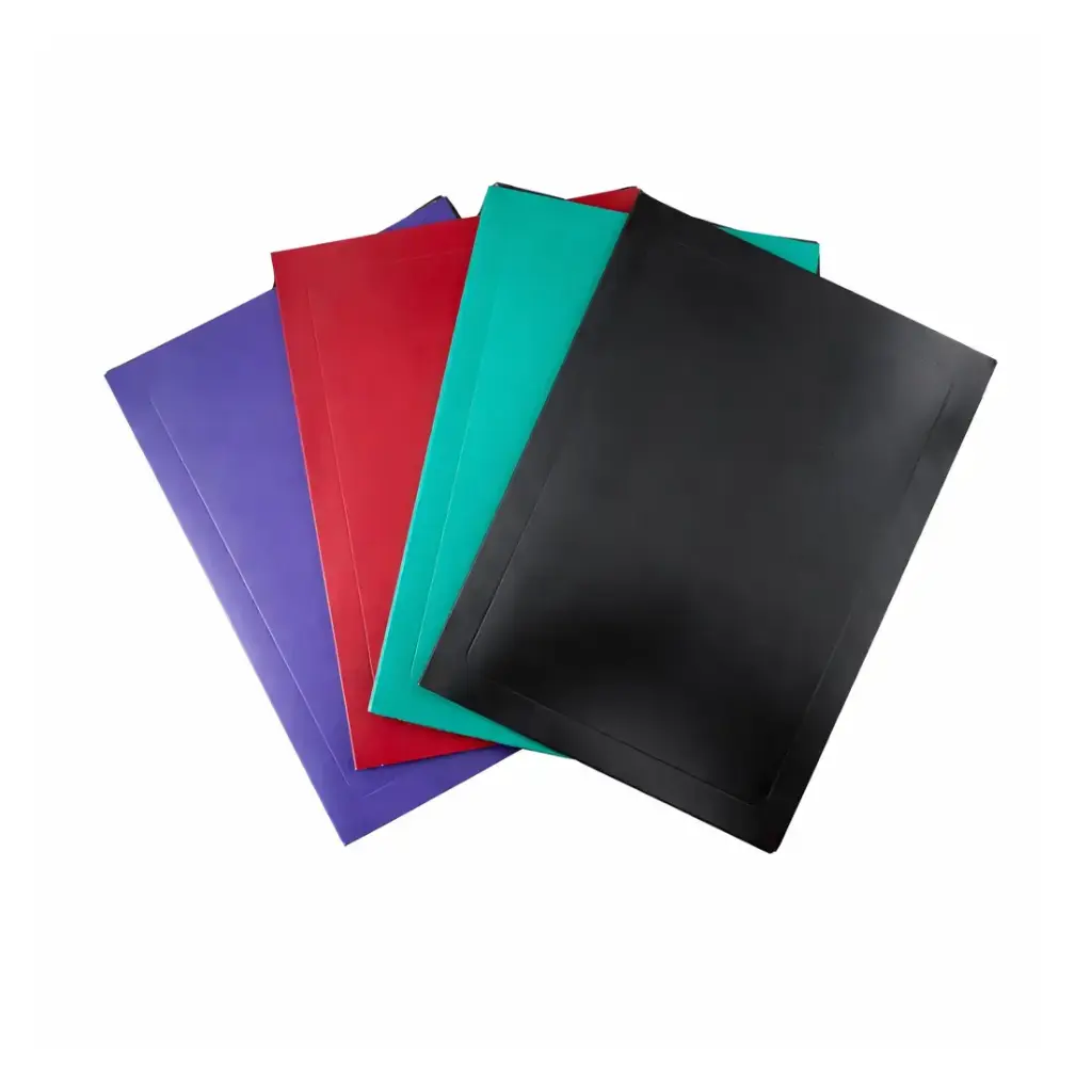 CARPETA A4 PRESENTACION F55 COLOR