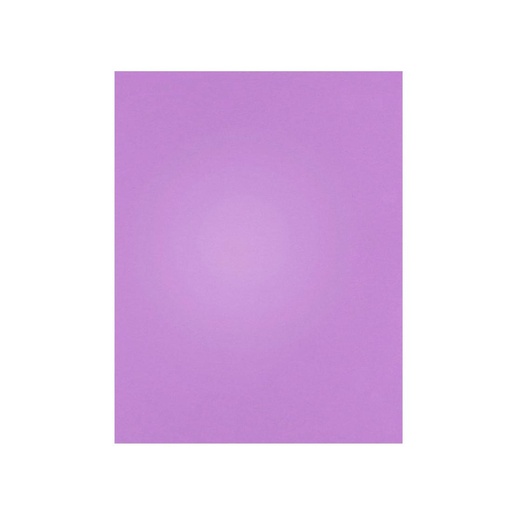 [246091] &*CARTULINA LILA/ VIOLETA 45 x 63cm
