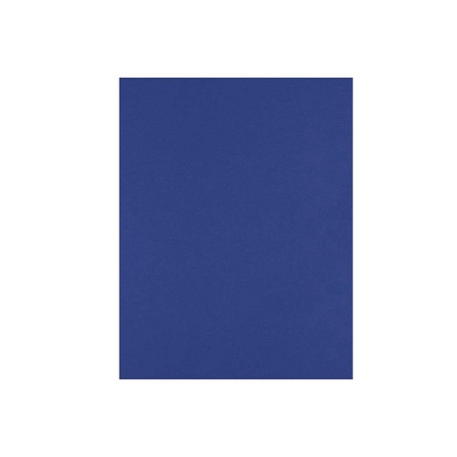 [247378] &*CARTULINA AZUL 45 X 65 CM