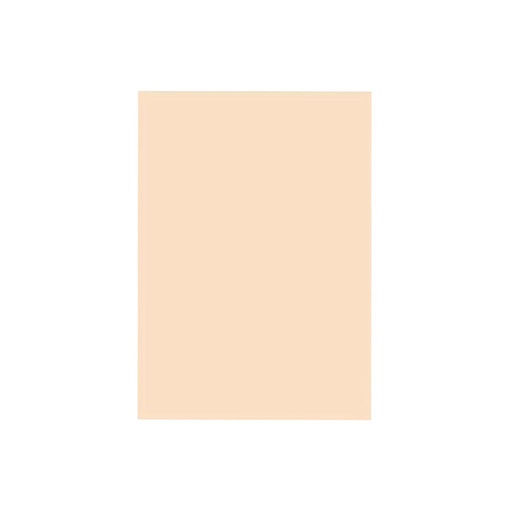 [500972] &*CARTULINA BEIGE/PIEL 45 x 65cm