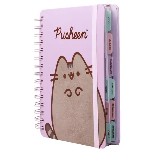 [538370] AGENDA DIARIA PUSHEEN 2027 14 X 20CM ( 1418207 )