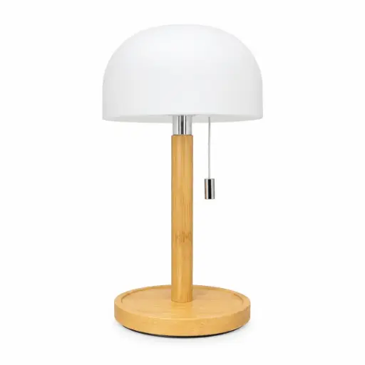 [539282] LAMPARA LED HONGO CUERDA USB 29CM ( NC6821 )